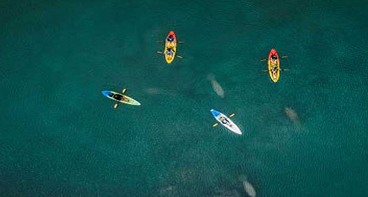 Content detection & tagging