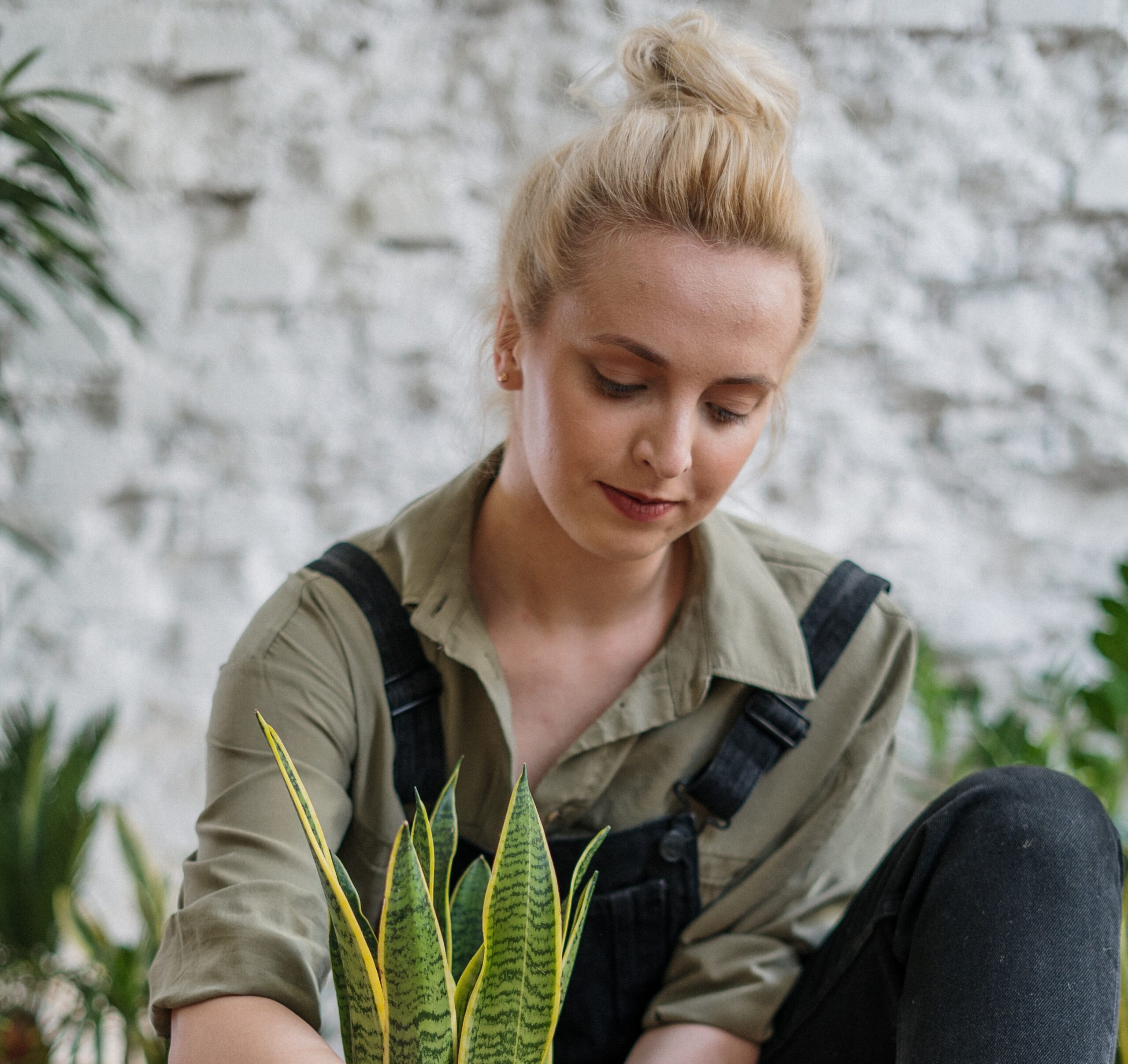 Adaptação: o setor de Casa & Decoração ganha destaque entre internautas brasileiros