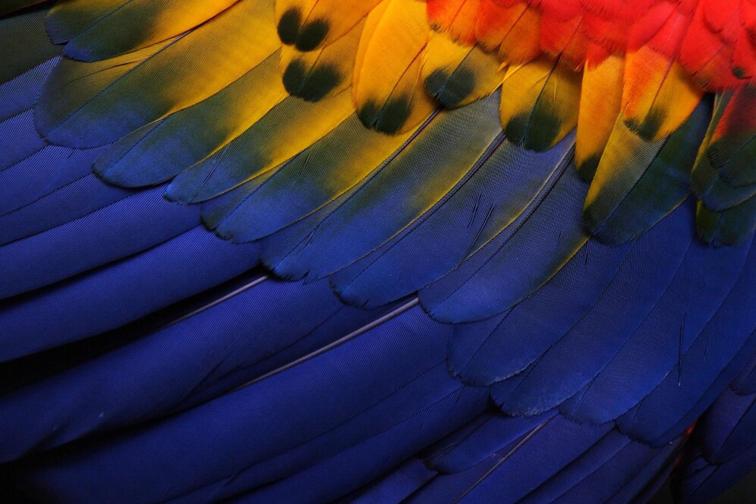 Data Stories #36 – Aquarelas de Vídeo do Brasil