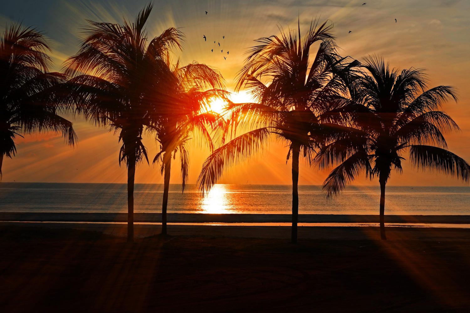 Data Stories #30 – Verão: Temperatura acima da m(í)dia